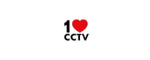 1cctv